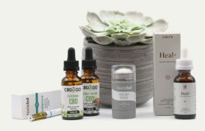 How to Store And Preserve The Taste And Quality Of CBD Edibles