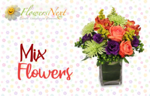 Flowers to Norway